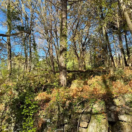 Le Ptipouj Saint-Jean-du-Gard