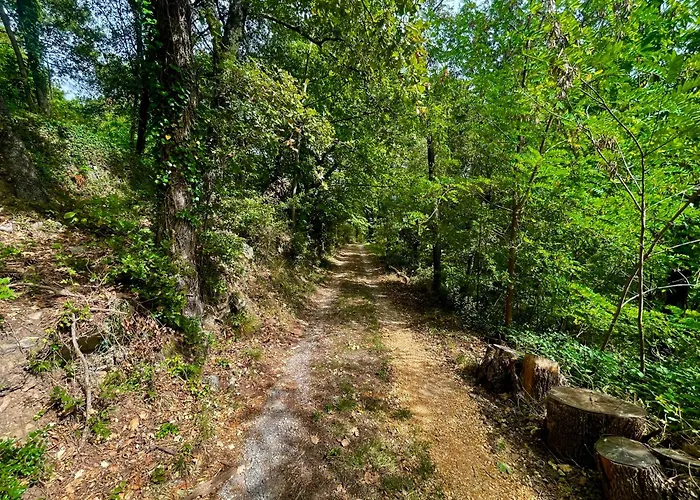 Le Ptipouj Prázdninový dům *