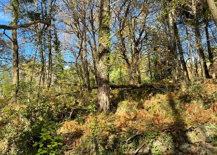 Le Ptipouj Saint-Jean-du-Gard